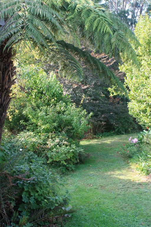 Strathmore Farm B&B Mirboo North Екстер'єр фото